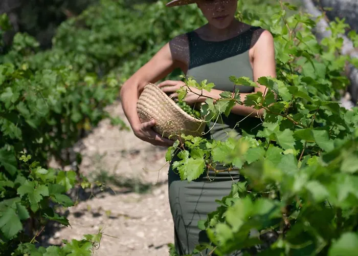 Vasiliki Houses Casa de Férias