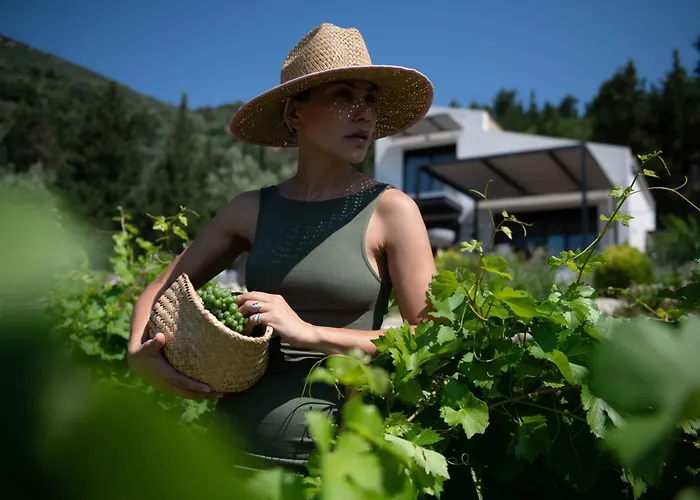 Vasiliki Houses * Vasiliki