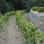 Vasiliki Houses Holiday home