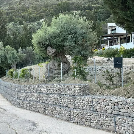 Vasiliki Houses * Vasiliki (Lefkada)