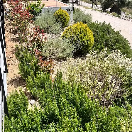 בית נופש Vasiliki Houses ואסיליקי