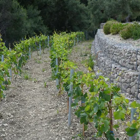 Vasiliki Houses Semesterbostad