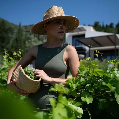 Vasiliki Houses * Vasiliki