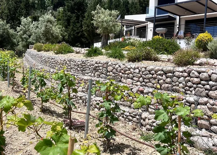 Σπίτι διακοπών Vasiliki Houses