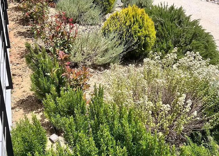 Case de vacanță Vasiliki Houses Vasiliki