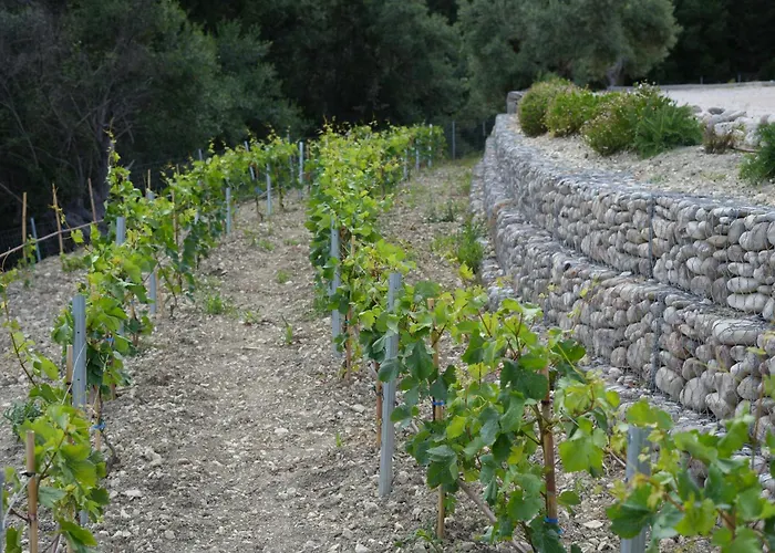 Vasiliki Houses Σπίτι διακοπών