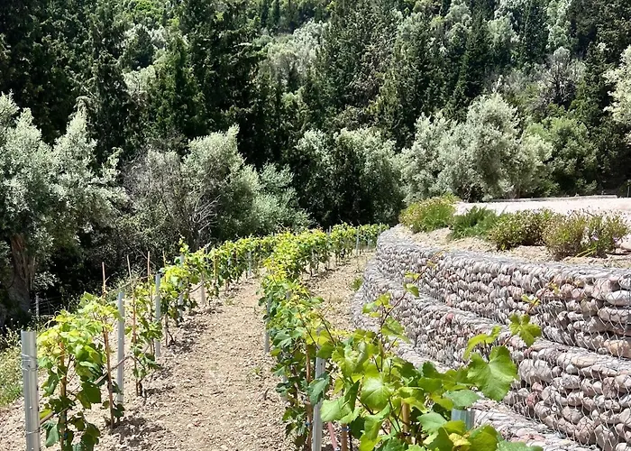 Vasiliki Houses Σπίτι διακοπών *